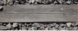 Photo Textures of Wood